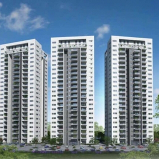  נווה  דורון החדשה | הסורג שקוף