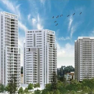 קריניצי החדשה רמת גן | הסורג שקוף